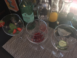 gin library at the sun carshalton